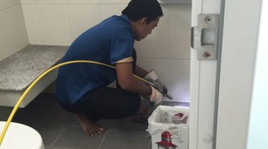 Drain cleaning services for a sink and floor drains in a restroom.